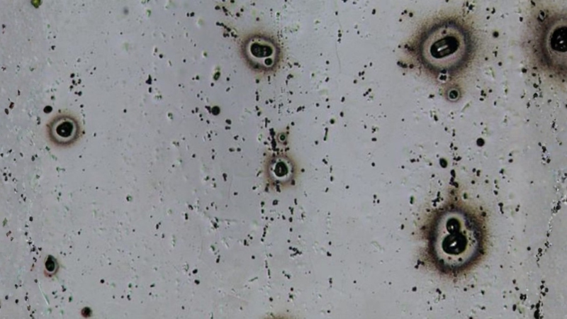 Pitting Corrosion